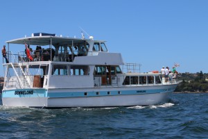 Bennelong Cruising Sydney